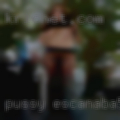 Pussy Escanaba